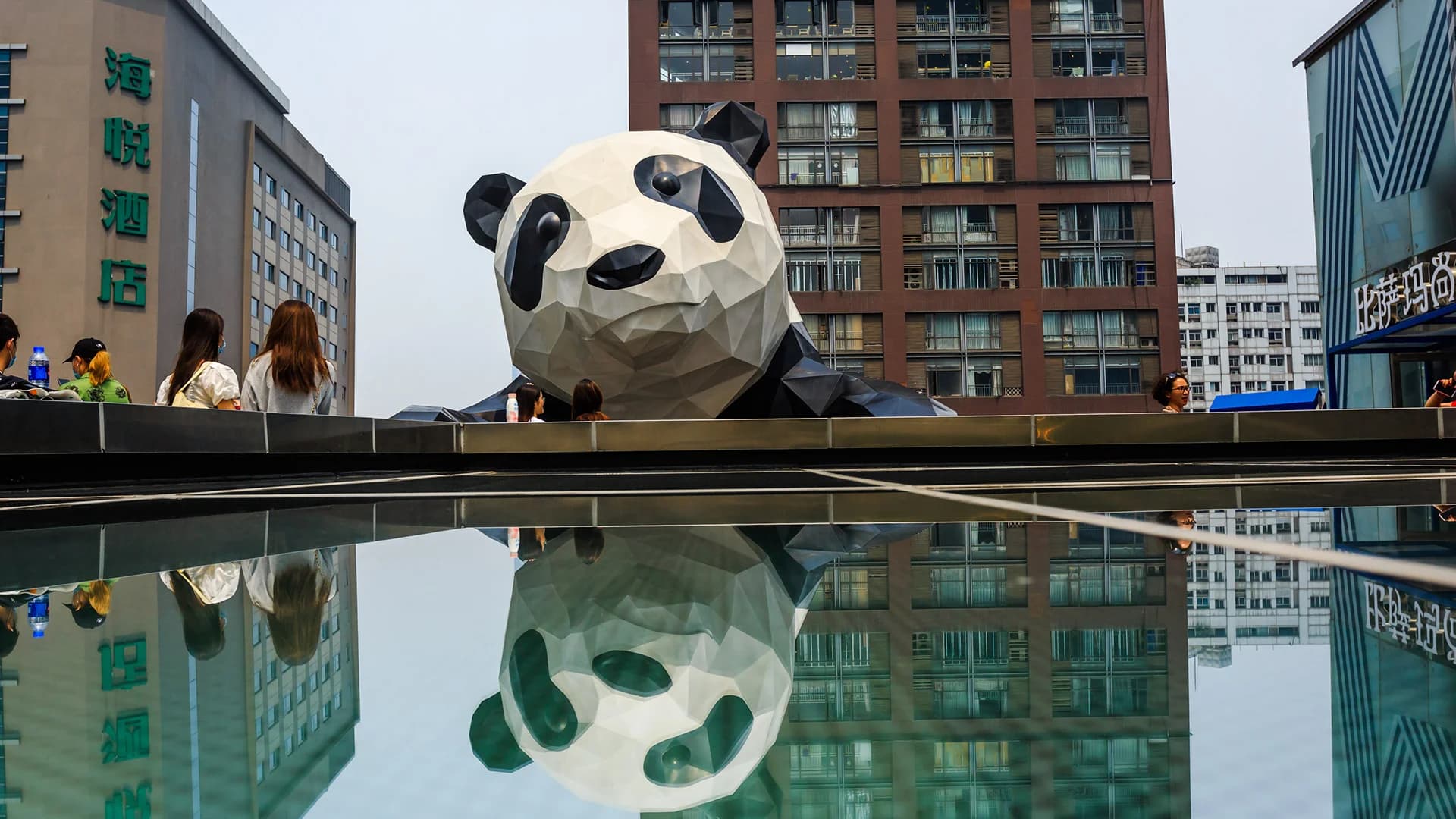 Chengdu Private Driver: A Complete Travel Guide for 2026