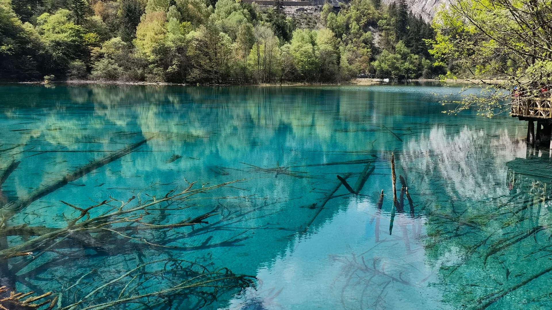 Chengdu to Jiuzhaigou Private Car: 2026 Practical Guide