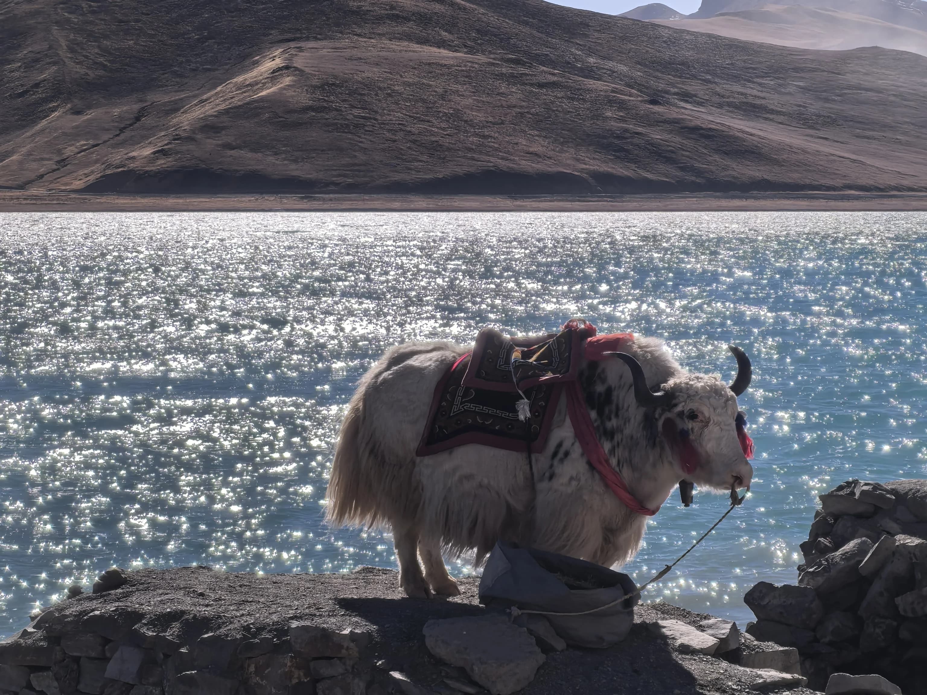 Tibet