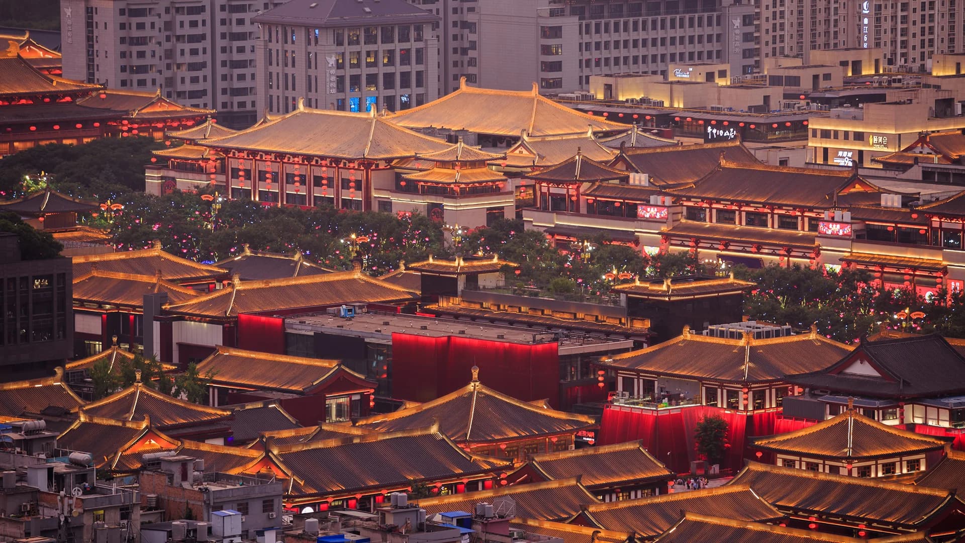 Xi'an Chartered Car Tour: Private Driver for One Day