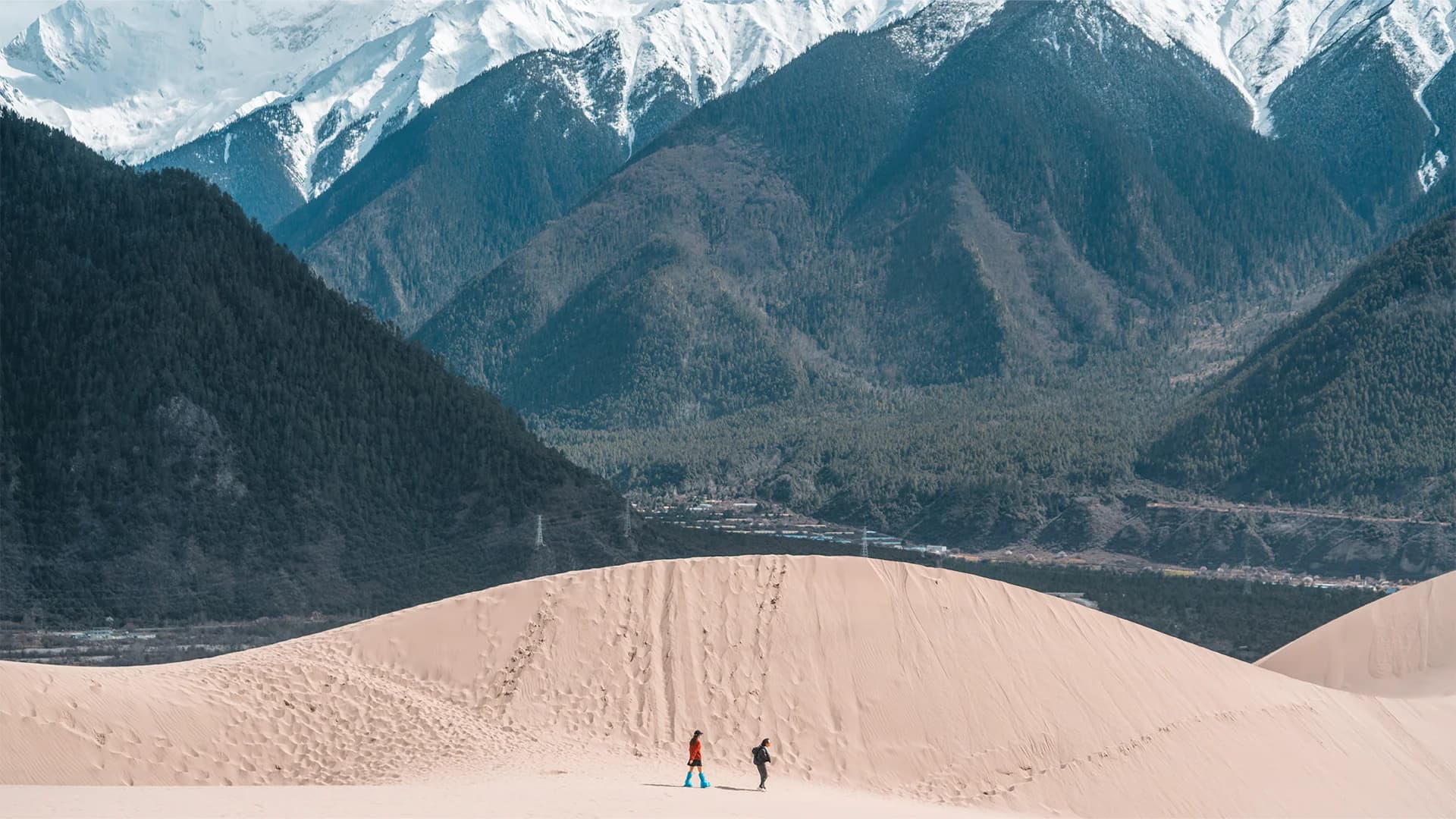 Buddha's Palm Sand Dunes