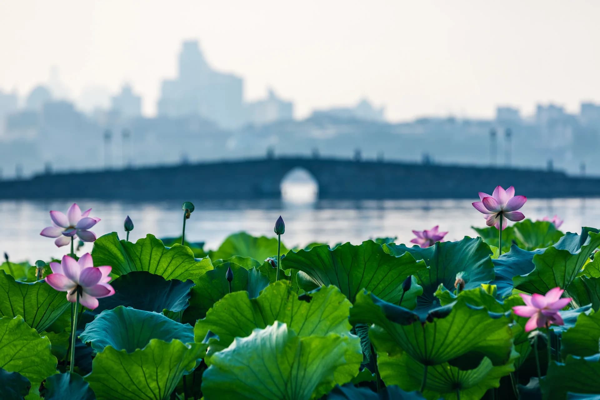West Lake