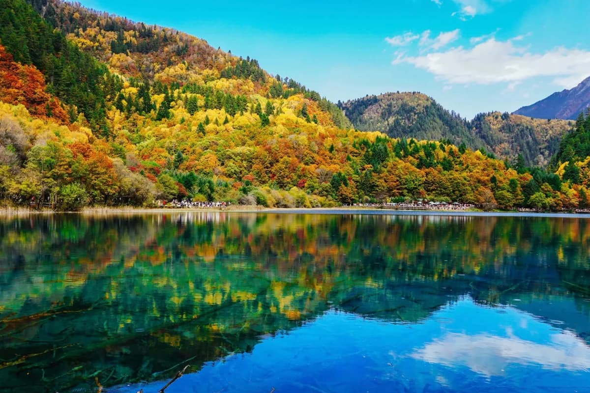 Chengdu to Jiuzhaigou Private Car: 2026 Practical Guide