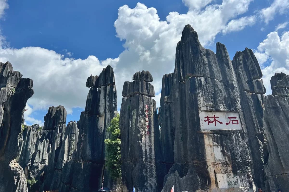 Stone Forest